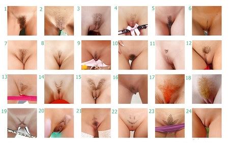Different Types Of Pussy Clitoris Xxx Porn