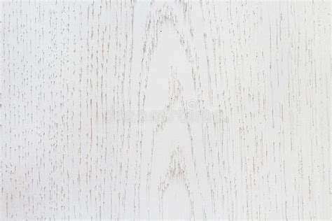 Painted Surface Texture Of Real Wood Background White Matte Color