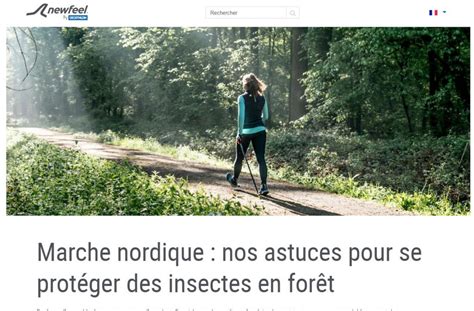 Animaux Et Insectes En Forêt Découvrir Aimer Protégerdécouvrir