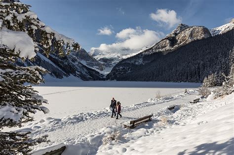 Lake Louise Winter Day Tour • Freedom Destinations