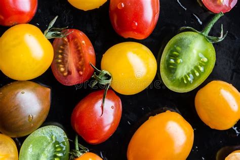 Multi Colored Tomatoes Stock Photo Image Of Vegetable 91107920