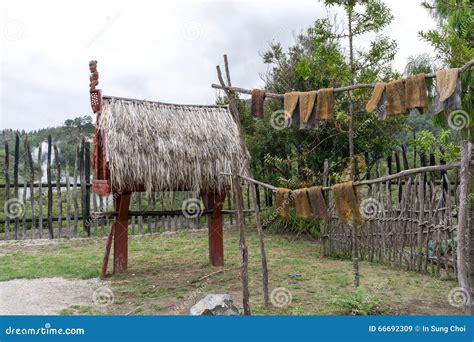 Traditional Maori Storehouse Editorial Stock Image Image Of