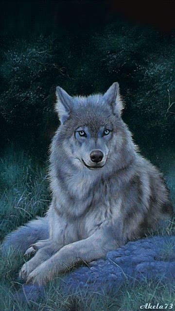 475 wolf gifs gif abyss. Pin by renata79r on gif animations | Wolf love, Beautiful ...