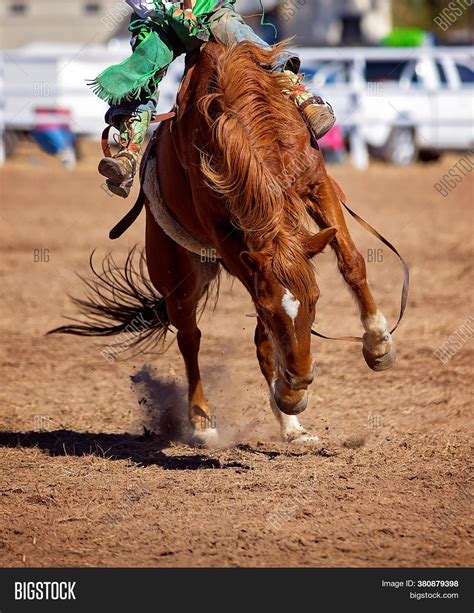 Cowboy Competing Image And Photo Free Trial Bigstock