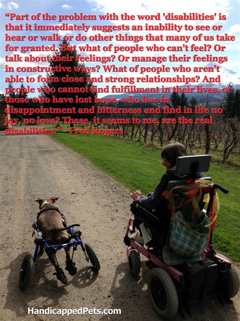In Honor Of National Specially Abled Pets Day Words Of Wisdom From Mr