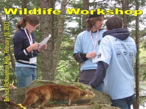 Ppt Wildlife Workshop Powerpoint Presentation Free Download Id3410198