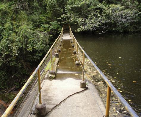 Trilhas E Pedais Parque Natural Municipal De Nova Iguaçu Pnmni