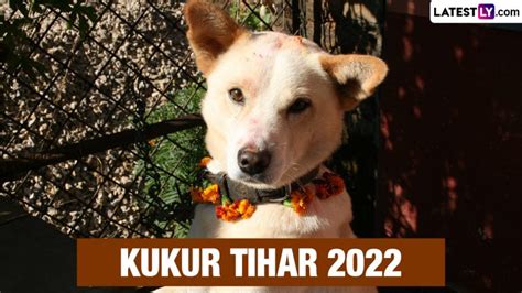 Kukur Tihar 2022 Date And Significance During Diwali Week Everything To