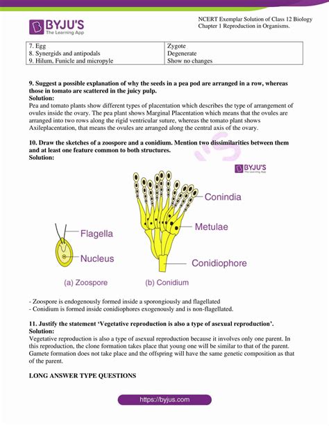 Ncert Exemplar Solutions Class 12 Biology Chapter 1 Reproduction In