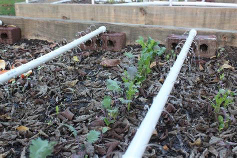 Raised Bed Garden Drip Irrigation Kit Garden Design