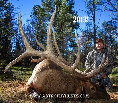 A3 Trophy Hunts 2014