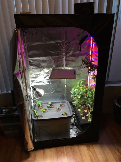 Led Light Grow Room Setup Home Design Ideas