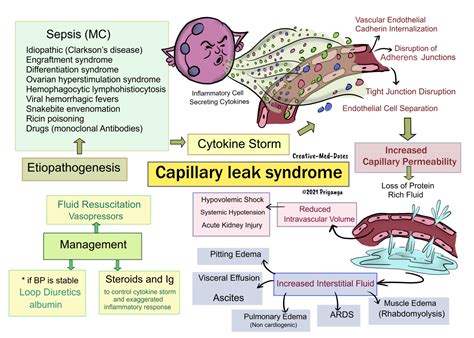 Capillary Leak Syndrome Cls Quick Review Creative Med Doses