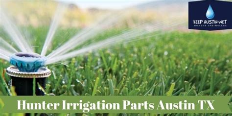 Top 7 Signs You Are Overwatering Your Lawn Hunter Irrigation Parts