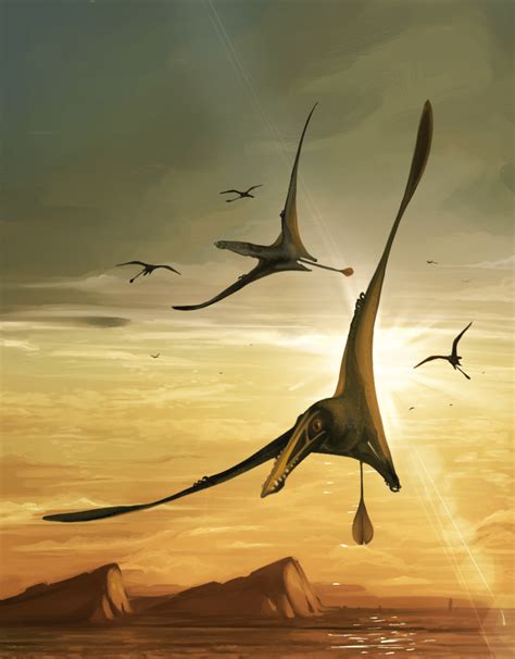 Pterosaur Fossil Is Largest Ever Found From The Jurassic Period The Edinburgh Reporter