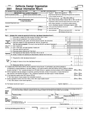 Form 199 Fill Online Printable Fillable Blank PdfFiller