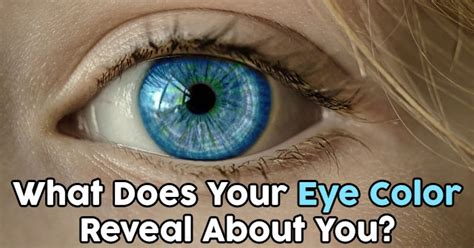 What Does Your Eye Color Reveal About You Quizdoo