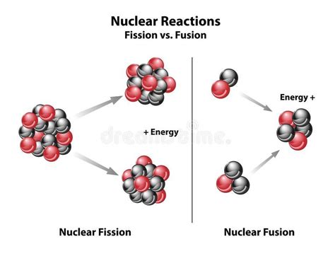 Fusion And Fission Compared Reactions Stock Vector Illustration Of