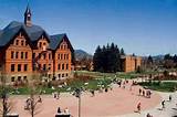 Photos of University Of Montana It