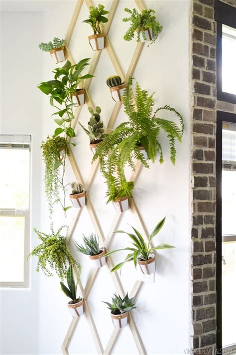15 Indoor Garden Ideas For Small Space Homes Gardening Viral