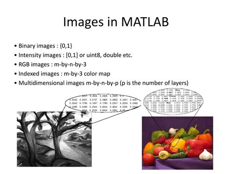 Ppt Introduction To Matlab And Image Processing Powerpoint