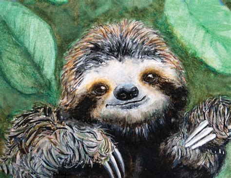 Sloth Painting Watercolor Sloth Baby Sloth Tropical Forest Etsy