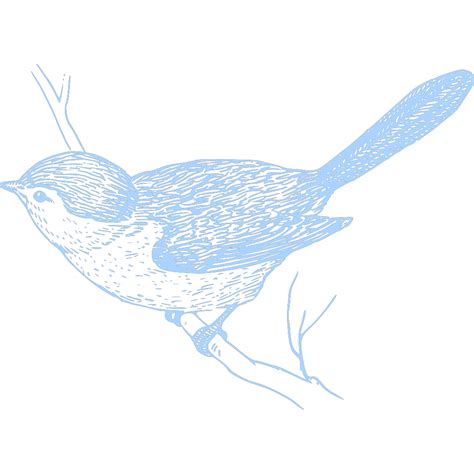 Blue Bird On Branch Png Svg Clip Art For Web Download Clip Art Png
