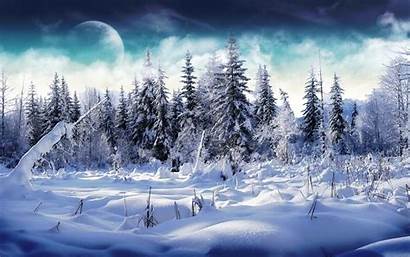 Winter Forest Desktop Wallpapers Backgrounds Wallpapersafari Snowy
