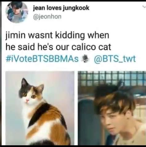 You Know Funny Thing But I Love Calico Cats Bts Bangtan Boy Bts Boys