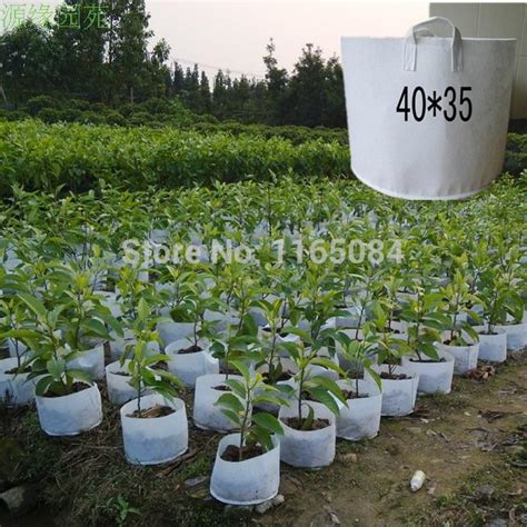 Plastic bags are contributing to global warming. Free Shipping Non woven Planting Bag Home Gardening ...