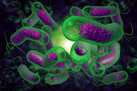 42 Pandemic Facts About Cholera