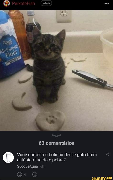 Aderir 63 comentários Você comeria o bolinho desse gato burro estúpido