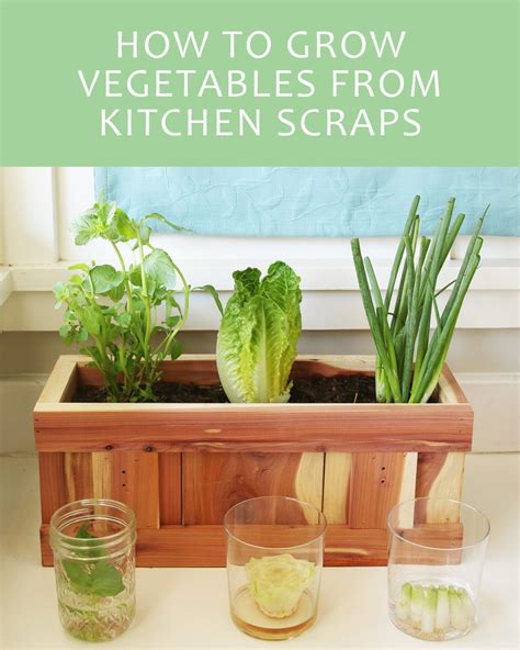 Heres How To Give Your Vegetable Scraps A New Life Vegetable Scraps