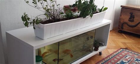 How To Build An Aquaponics System Cheap Hydrobuilder Learning Center