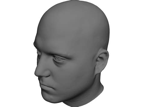 Human Male Scanned Head 3d Model 3d Cad Browser
