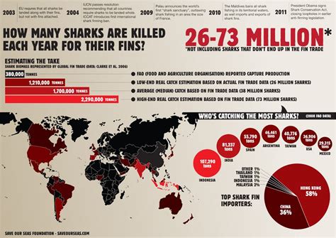 How Many Sharks Are Caught Each Year Save Our Seas Foundation