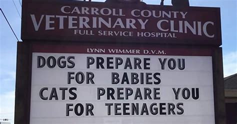 30 Of The Funniest Outdoor Signs From This Vet Clinic That Dad Joke