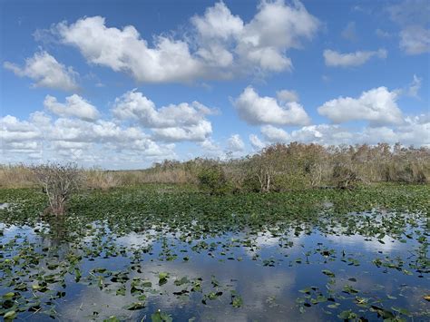 Everglades National Park Florida City Fl Rnationalpark