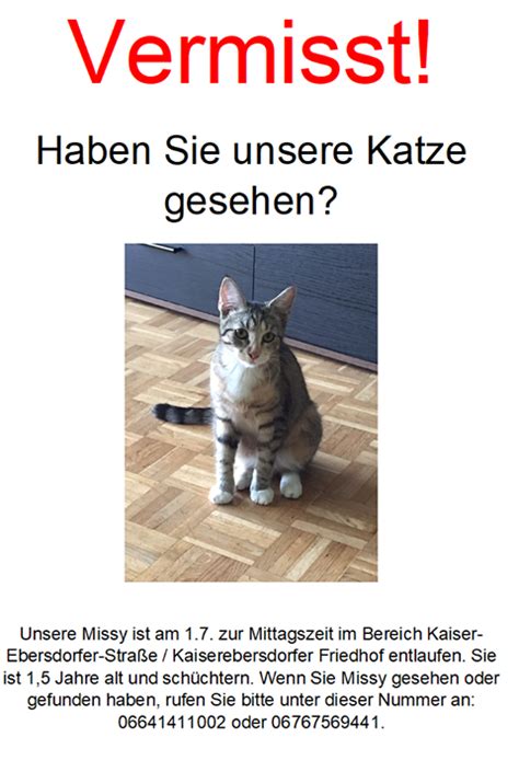 We did not find results for: Katze Vermisst Vorlage
