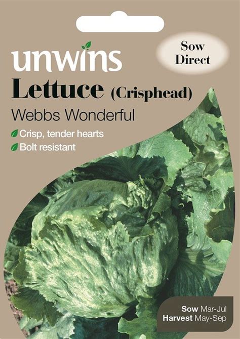 Lettuce Crisphead Webbs Wonderful