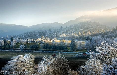 Frost And Fog In Ashland Ashland Oregon Localsguide