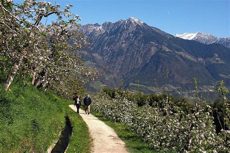 Check spelling or type a new query. Der-marlinger-waalweg-nach-lana-promenaden-algund-meran ...