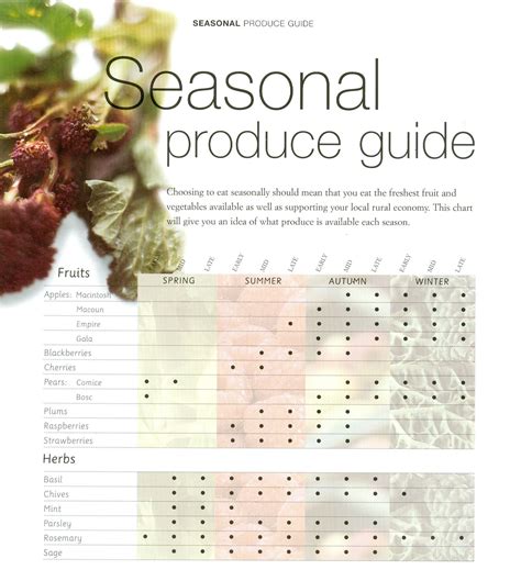 Seasonal produce guide | In season produce, Seasonal ...