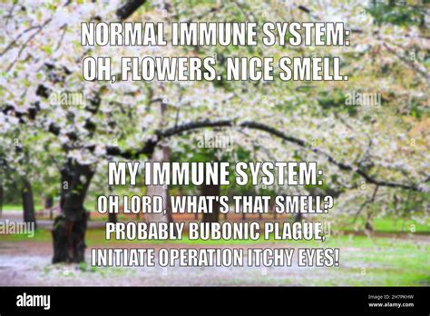 Allergy Funny Meme For Social Media Sharing Spring Season Allergic Hay