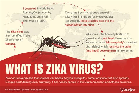 What Is Zika Virus Is It Deadlier Than Dengue Is India Ready To Face