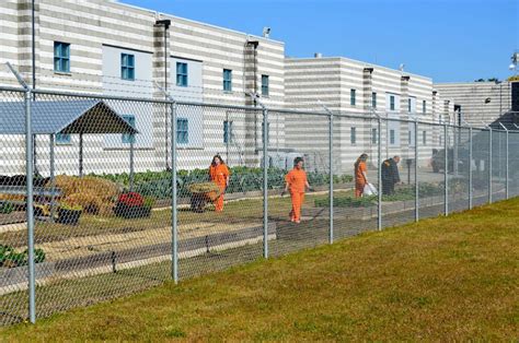 Gwinnett County Jail Garden Program Gives Inmates New Outlook