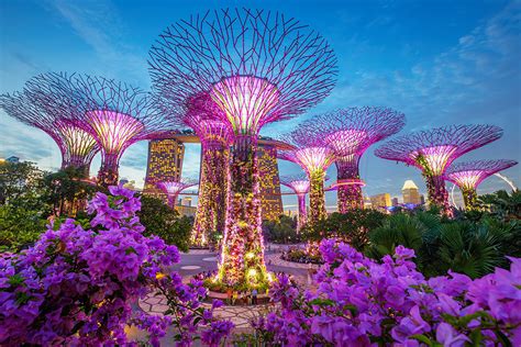Supertrees At Singapore Gardens By The Bay Sapere Aude