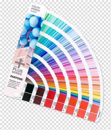Web Design Color Web Colors Pantone Hexadecimal Color Chart Color