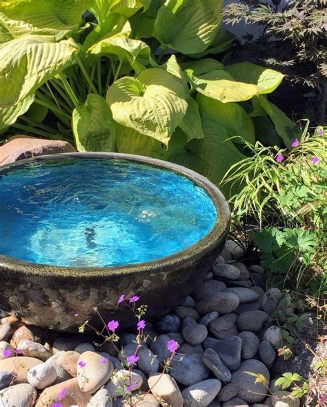 13 Diy Indoor Water Garden Ideas You Cannot Miss Sharonsable