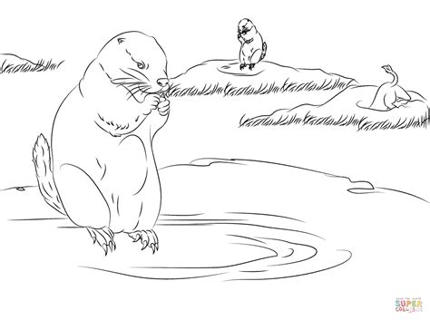 Ayumu saito / craft pocket. Prairie Dog Coloring Pages - Kidsuki